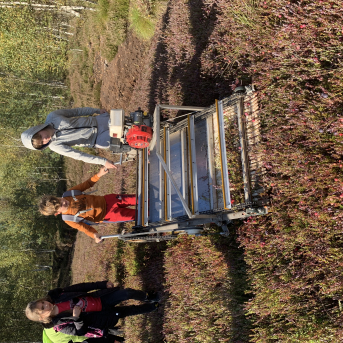 Laugas purva pārgājiens - 