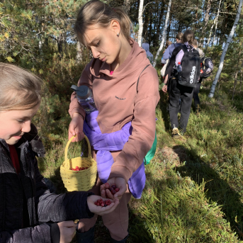 Laugas purva pārgājiens - 