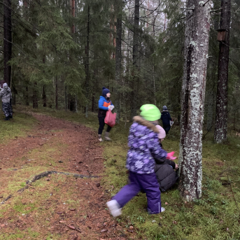 Meža rūķu darbnīcas - 