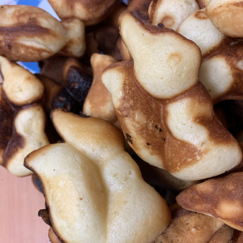 Meža rūķu darbnīcas - 