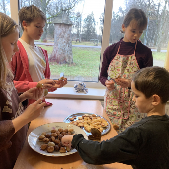 Meža rūķu darbnīcas - 