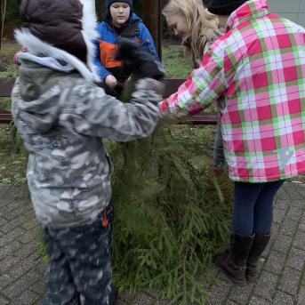 Meža rūķu darbnīcas - 