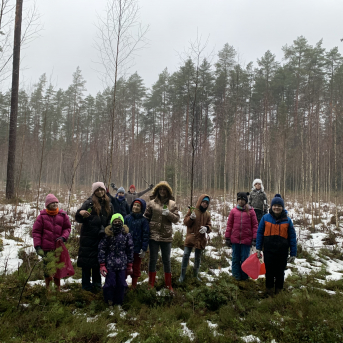 Meža rūķu darbnīcas - 