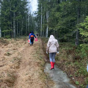 Meža rūķu darbnīcas - 