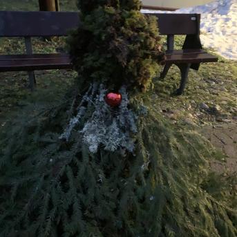 Meža rūķu darbnīcas - 