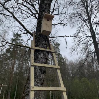 Kokapstrādes diena Urgās - 