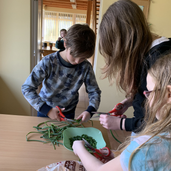 Kokapstrādes diena Urgās - 