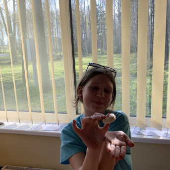 Makarūnu darbnīca - 