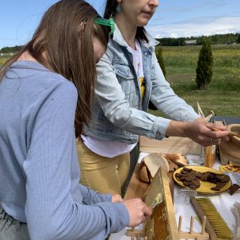 Medainais pārgājiens - 