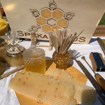 Medainais pārgājiens - 