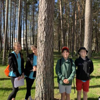 Zaļais starts Kauguros - 