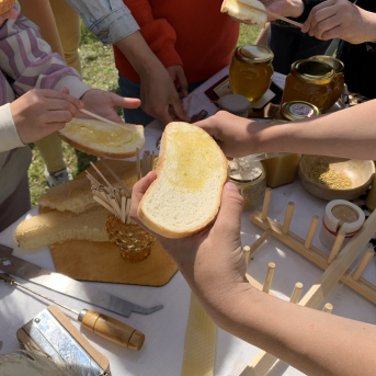 Medainais pārgājiens - 