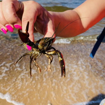 Pārgājiens “Iepazīsti novada centru” - 