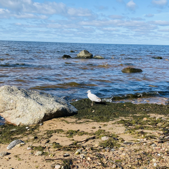 Pārgājiens “Iepazīsti novada centru” - 