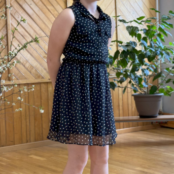 Pavasara dzejoļu konkurss 1.-3.klasēm - 