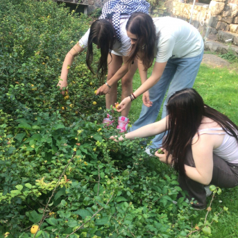 Pārgājiens tiešsaistē - 