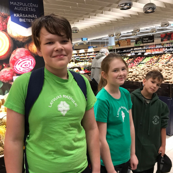 Krāsainās bietes Maximā - 