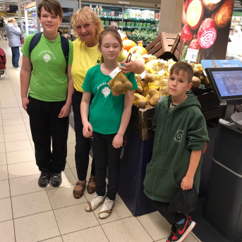 Krāsainās bietes Maximā - 