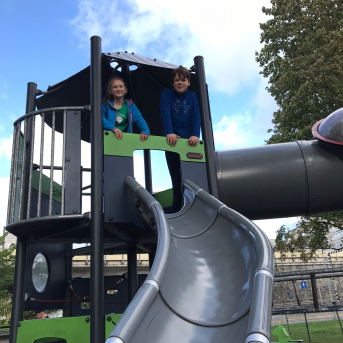 Krāsainās bietes Maximā - 