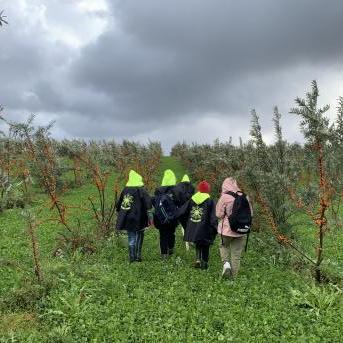 Smiltsērkšķu pārgājiens - 