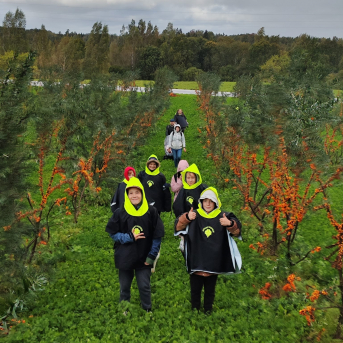 Smiltsērkšķu pārgājiens - 