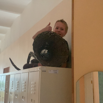 Ziemassvētku radošums - 