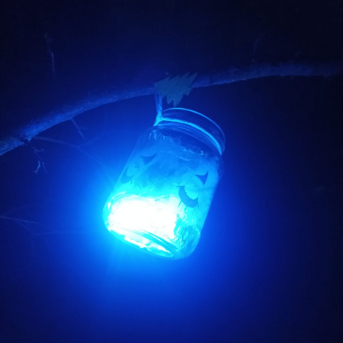 Ziemassvētku radošums - 