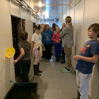 Vasara - sausseržu laiks - 