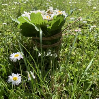 Vasara - sausseržu laiks - 