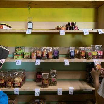 Vasara - sausseržu laiks - 