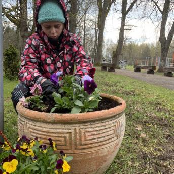 Siltumnīca un saldie kraukšķi - 