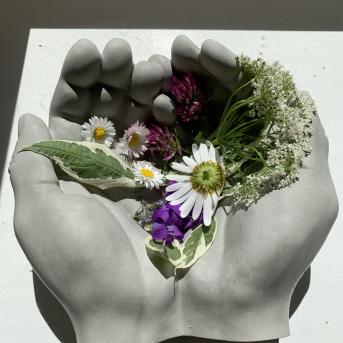 Vasara - sausseržu laiks - 