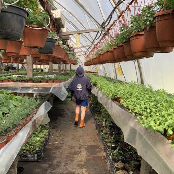 Siltumnīca un saldie kraukšķi - 