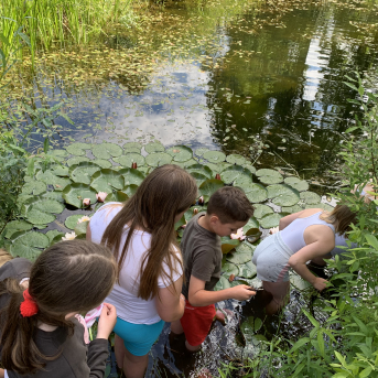 Vasara - sausseržu laiks - 