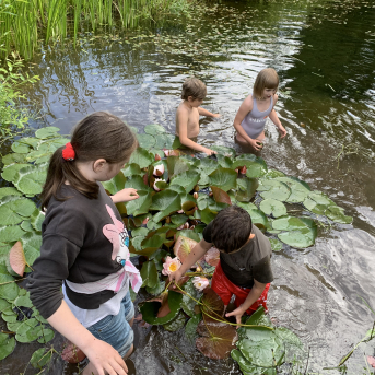 Vasara - sausseržu laiks - 