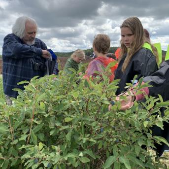 Vasara - sausseržu laiks - 