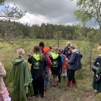 Vasara - sausseržu laiks - 