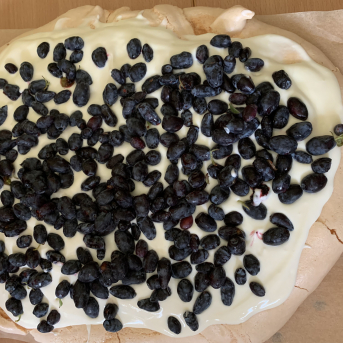 Vasara - sausseržu laiks - 