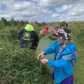 Vasara - sausseržu laiks - 