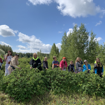 Vasara - sausseržu laiks - 