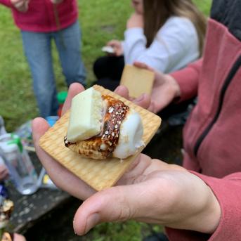 Vasara - sausseržu laiks - 