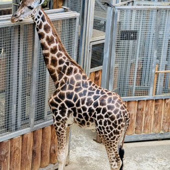 Mācību ekskursija 7.-9. klasēm - 