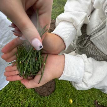 Projekti.  Veselīgais meža kokteilis - 