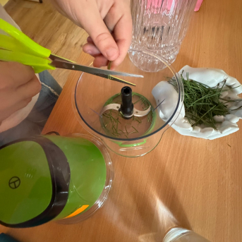 Projekti.  Veselīgais meža kokteilis - 