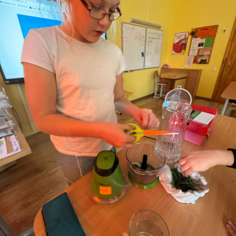 Projekti.  Veselīgais meža kokteilis - 