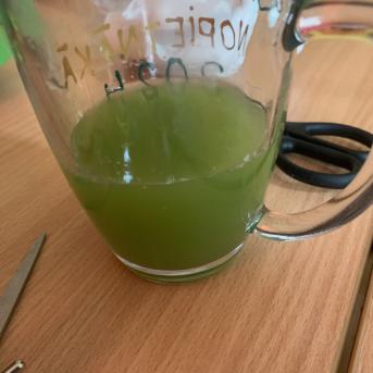 Projekti.  Veselīgais meža kokteilis - 