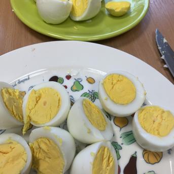 Pārgājiens uz Zvirgzdkalniem - 