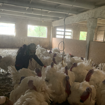 Pārgājiens uz Zvirgzdkalniem - 