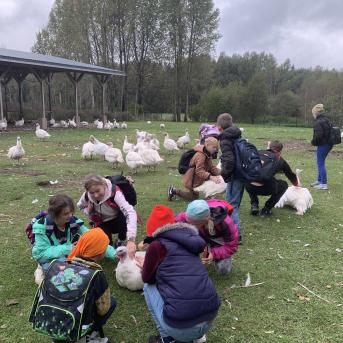 Pārgājiens uz Zvirgzdkalniem - 