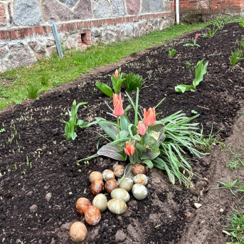 Lieldienas Sējas skolā - 